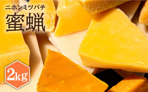 日本蜜蜂 ミツロウ 2kg 《壱岐市》【憲ちゃんハチミツ】[JCL014] 蝋燭 蜜蝋 ロウソク ろうそく 日本蜜蜂 ギフト プレゼント 贈り物 97000 97000円
