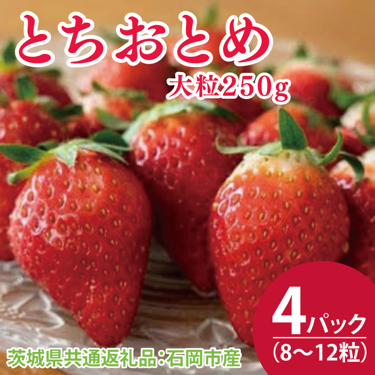 【先行予約】とちおとめ大粒250g（8〜12粒）×4pc（茨城県共通返礼品：石岡市産）合計約1kg　※2025年12月初旬～2026年3月下旬頃に順次発送予定(CD001-1）