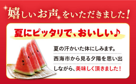 先行予約 大玉 スイカ 羅王 2玉（約12kg～16kg）＜ファームまるだ＞ [CDT006] 長崎 西海 果物 フルーツ 長崎スイカ すいか 通販スイカ お取り寄せスイカ すいか 国産スイカ 贈答ス