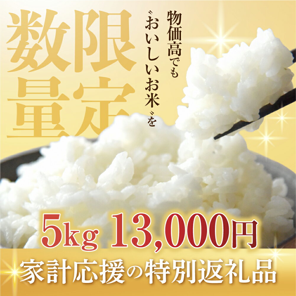 【ふるさと納税】数量限定 13000円 こしひかり 5kg 10kg 定期便 選べる お米 おこめ 米 コメ ごはん コシヒカリ ご飯 ブランド米 精米 令和7年 定期 6か月 令和6年産 売り切れ 備蓄米 よりおいしい 愛知県 田原市 渥美半島 人気 どうまい 先行予約 令和7年産 13000円