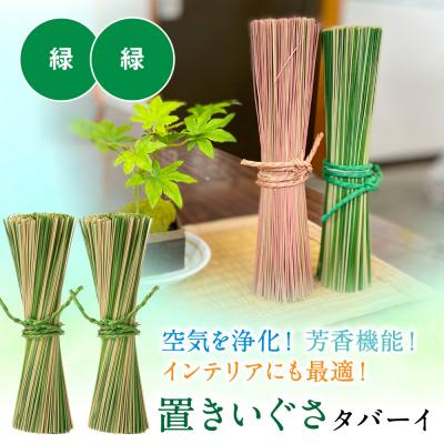 ふるさと納税 八代市 置きいぐさ(タバーイ)2本セット 緑×緑_024-4648-GG-B