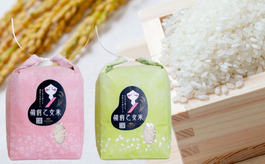 備前乙女米 白米 2kg×2袋 合計4kg 米 お米 コメ 特A 精米 岡山県 倉敷市【2025年10月下旬-2026年9月下旬発送予定】