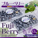 【ふるさと納税】 Fuji Berry 急速冷凍ブルーベリー1.5kg ふるさと納税 冷凍ブルーベリー ブルーベリー 朝食 ヨーグルト 美容 健康 山梨県 富士河口湖町 送料無料 FAZ109