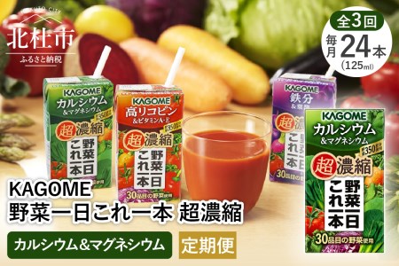 【3ヶ月定期便】カゴメ 野菜一日これ一本 超濃縮 鉄分&葉酸 125ml 紙パック 24本入 （野菜ジュース）