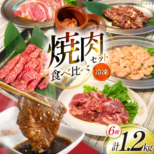 焼肉セット 6種 食べ比べ 200g×6種 計1.2kg [焼肉銀座園 北海道 砂川市 12260736] 焼肉 焼き肉 やきにく 焼肉用 焼肉プレート セット 牛 牛肉 豚 豚肉 カルビ 上カルビ ホルモン 上ホルモン ラム肉 ジンギスカン サガリ レビューキャンペーン