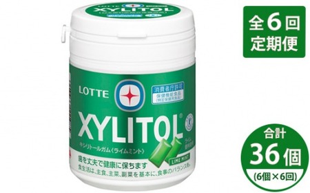 【定期便全6回】2ヶ月に1回お届け！キシリトールガム ライムボトル 6個 | ロッテ ガム定期便