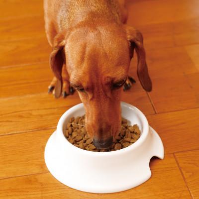 ふるさと納税 玉名市 犬の雑穀ごはんアダルト800g(玉名市) |  | 03