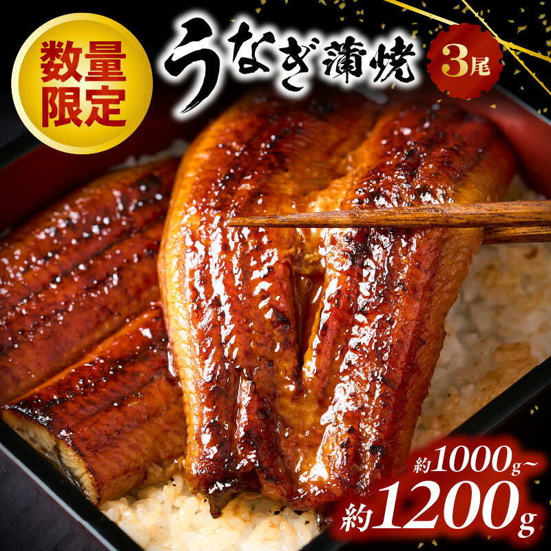 うなぎ蒲焼3尾・たっぷり約1kg！肉厚ふっくら｜特製タレ仕上げ・冷凍保存・賞味期限90日