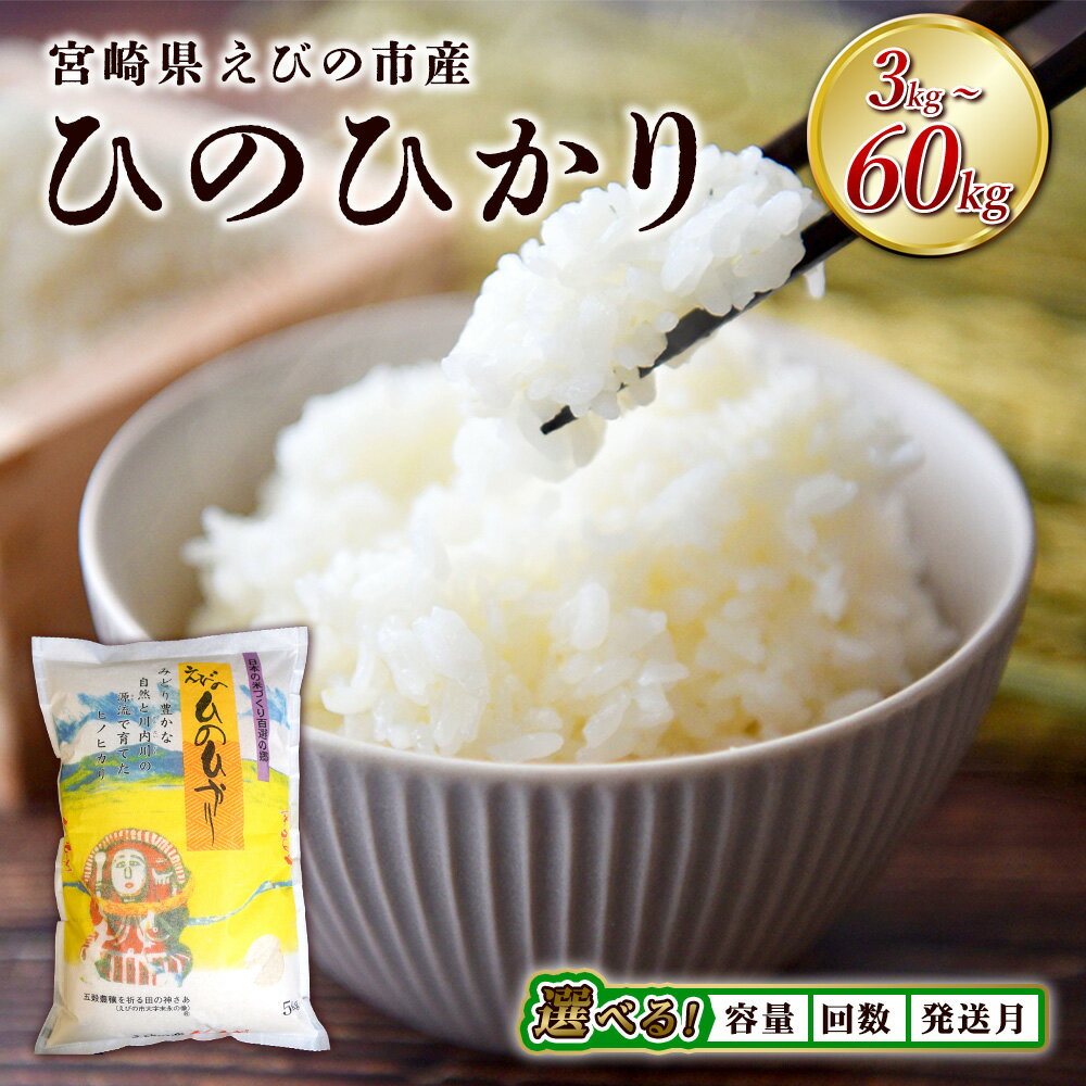 【ふるさと納税】≪先行予約≫【 内容量 / 発送回数 / 発送月が 選べる】米 ひのひかり 3kg 5kg 単品 定期便 九州 特A 令和6年産 令和7年産 新米 えびの産 ヒノヒカリ 特選米 ブランド米 お米 白米 精米 3回 6回 12回 九州産 宮崎県産 宮崎県 えびの市 国産 国産米 送料無料