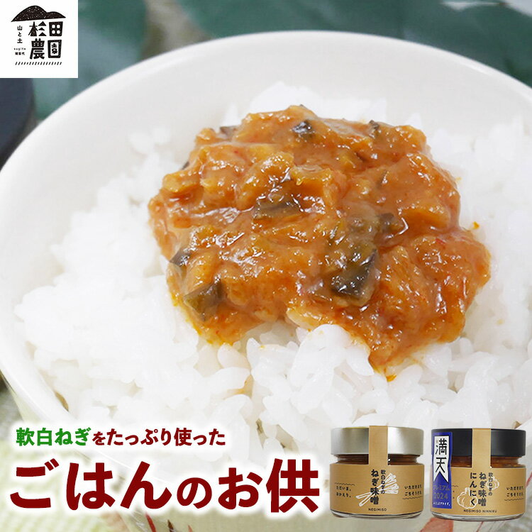 【ふるさと納税】ごはんのお供セット 軟白ねぎのねぎ味噌とねぎ味噌にんにく | ネギみそ 葱味噌 葱みそ おかず おにぎり 白飯 おかゆ おかず味噌 ご飯のお供 杉田農園 ふくしま満点堂 福島県 会津 猪苗代町 寄附額 10000 10000円 1万円 以下 以内 ※沖縄・離島への配送不可