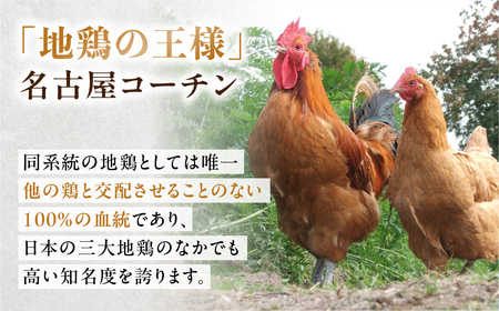 名古屋コーチン もも肉 むね肉 セット 110g×各5袋 計1.1kg 鶏肉 小分け 鶏肉