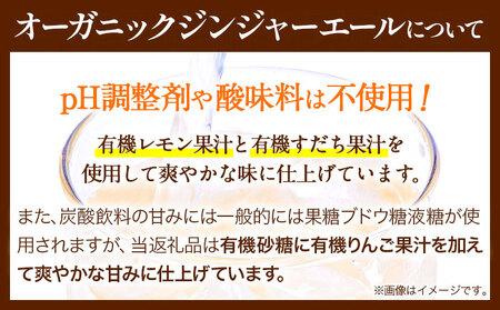 【11ヶ月定期便】 ジンジャーエール 250ml×30缶 光食品株式会社 定期 計11回お届け 《お申込み月の翌月から出荷開始》 徳島県 上板町 ジュース 炭酸水 光食品 ジンジャーエール オーガニッ