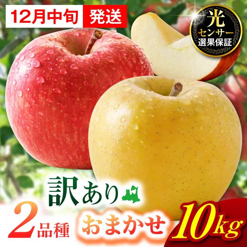 【2026年12月中旬発送】【訳あり】 旬の美味しい りんご 約10kg 青森産 【おまかせ2品種】 りんご