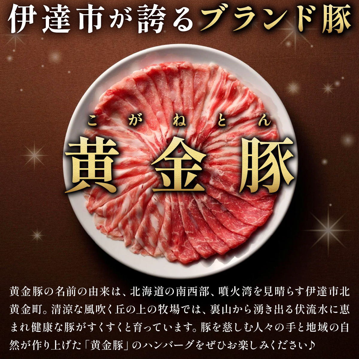 北海道 伊達 黄金豚 ハンバーグ 100g×10個（計1kg） 小分け 真空 お肉 豚肉_イメージ3
