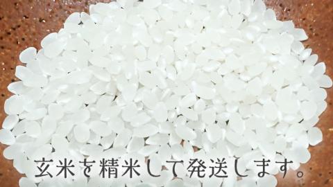 令和8年産 コシヒカリ 精米 10kg (茨城県共通返礼品 かすみがうら市) 銘柄米 [DH020sa]
