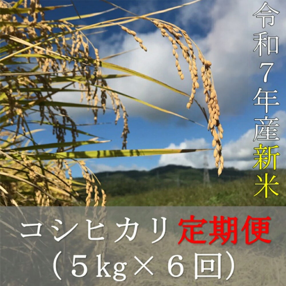 【ふるさと納税】令和7年産 コシヒカリ 【先行予約】【6か月定期便】 5kg×6回 計30kg （初回：令和7年10月初旬発送）【07208-0731】