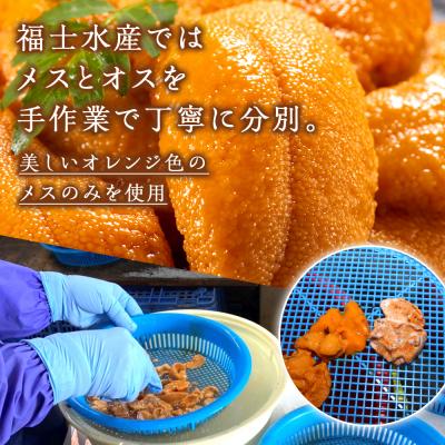ふるさと納税 利尻富士町 ★2025年分受付開始★利尻島産 塩水生うに エゾバフンウニ3パック 8月発送分【福士水産】 |  | 02