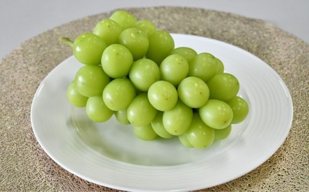 先行予約 シャインマスカット 1房(700g以上) [9月上旬から発送予定] 令和7年度 新潟県産 種なし ぶどう マスカット [JAえちご中越]【010S079】