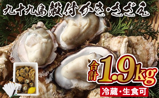 
            A156p 九十九島殻付かき･さざえ
          