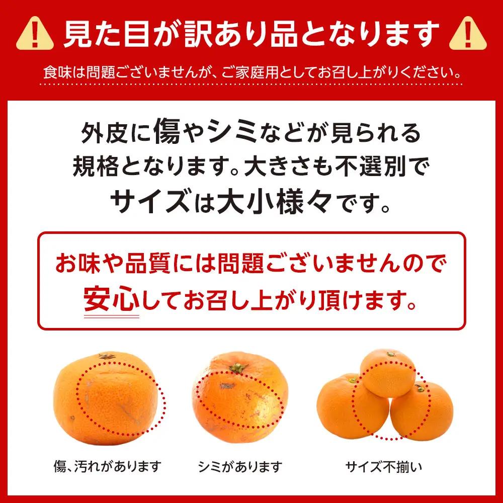 みかん ご家庭用 有田みかん 約2kg 2S～Lサイズ 混合
