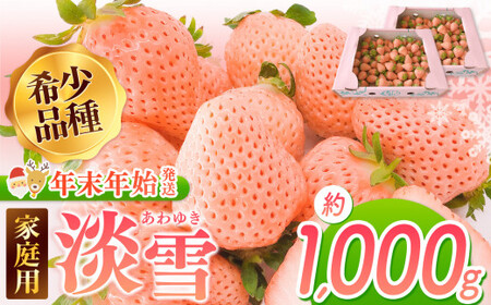 【年末年始発送】ご家庭用淡雪 約1000g ｜ フルーツ 果物 いちご 淡雪 熊本 玉名いちご 白いちご