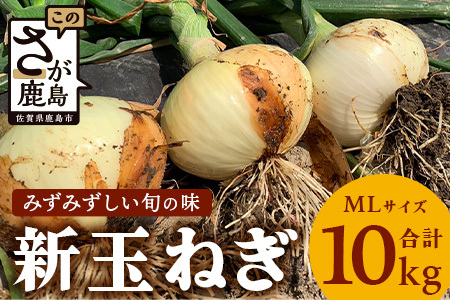 鹿島市産　新玉ねぎ　10kg（MLサイズ）　農家直送　B-737