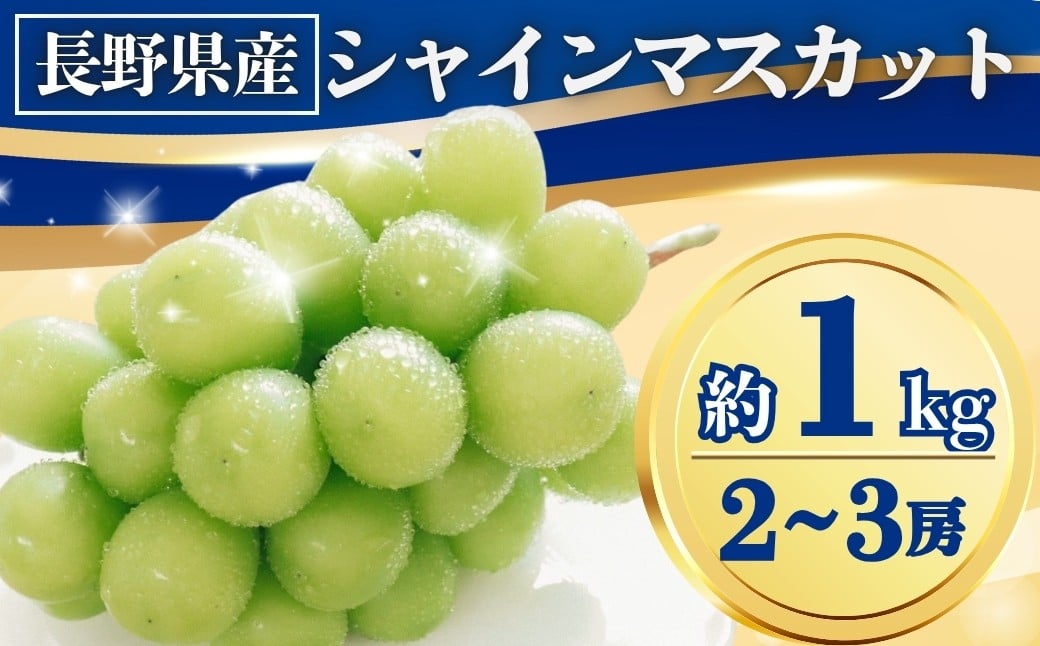 
            【2025年先行予約】シャインマスカット 約1kg(2~3房)｜ 果物 フルーツ 白ぶどう 葡萄 ブドウ 種無し 種なし 皮ごと 千曲市 長野県 信州
          