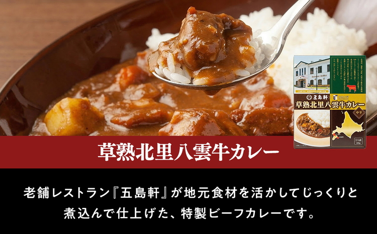 北里八雲牛 加工品3点詰め合わせ(2セット)【 ビーフシチュー カレー コーンビーフ 加工品 肉加工品 おうちごはん 簡単調理 レトルト 詰め合わせ セット 食品 グルメ お取り寄せ お取り寄せグルメ