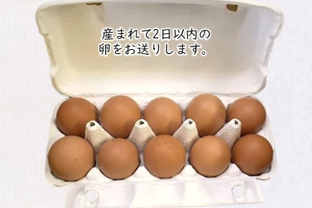 【定期便６か月】卵 30個 新鮮たまご 産卵後2日以内 10個×3箱 2L L ミックス 養鶏場直送 