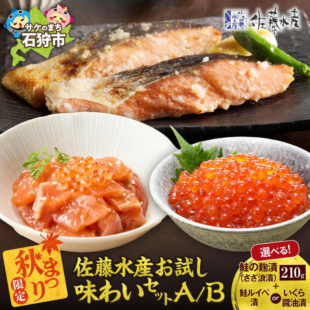 【ふるさと納税】【秋まつり限定】佐藤水産 北海道産 秋鮭 さざ浪漬 210g 3切【選べる内容】 鮭ルイベ漬 160g いくら醤油漬 80g お試しセット いくら ルイベ 切身 米糀 鮭醤油 冷凍 海鮮珍味 ご飯のお供 おつまみ 北海道 石狩市