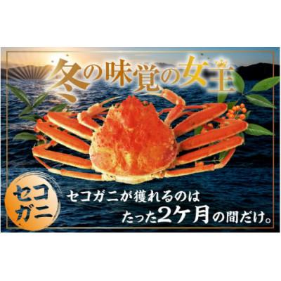 ふるさと納税 香美町 訳あり 釜茹でセコガニ4枚(大)(冷凍) |  | 01