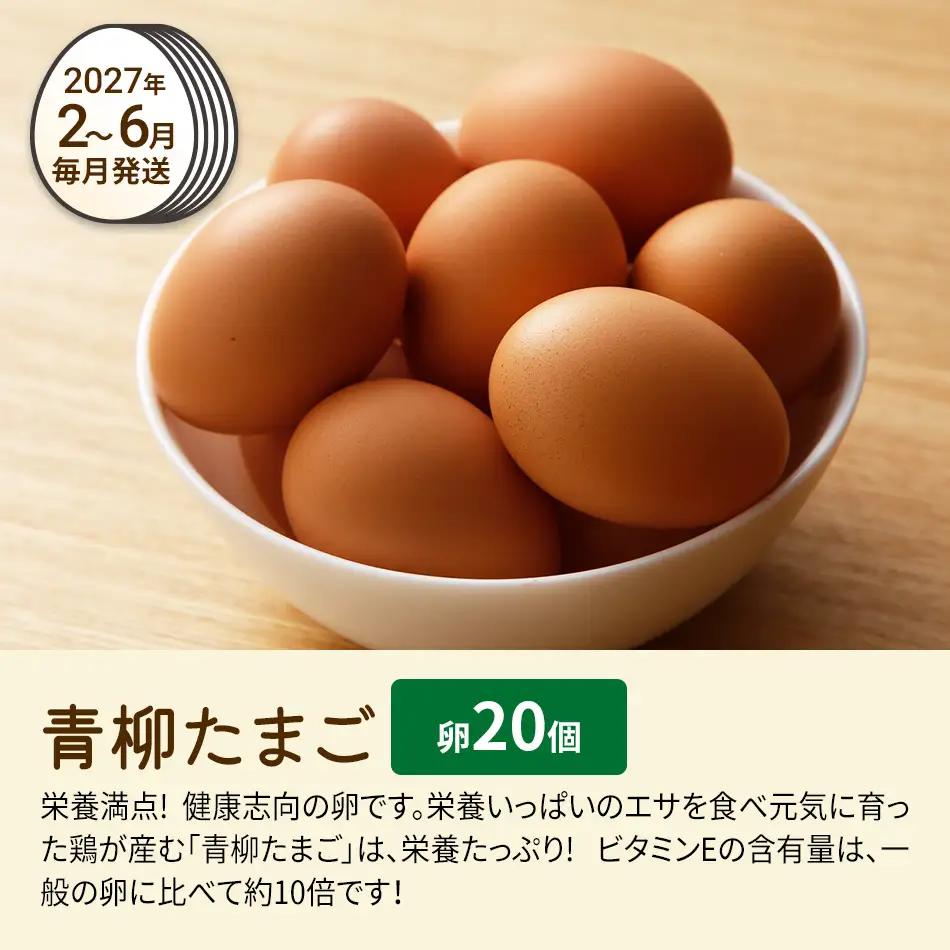 たまご前期定期便 6回発送（初回のみ醤油付き・たまご20個）20個×6回 合計120個 定期便 6ヶ月 卵 青柳たまご 送料無料 【2027年1月～6月の計6回お届け】