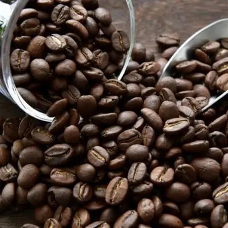 自家焙煎ハウスダークブレンドコーヒー　300g(日高町)【1590435】