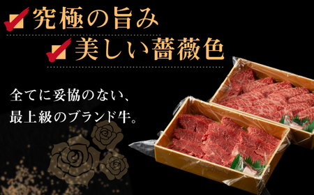 【日本一の和牛】長崎和牛 出島ばらいろ 特選焼肉 セット （ロース カルビ カタロース モモ のいずれか2種類）約300g×2 【合同会社　肉のマルシン】[RCI045]