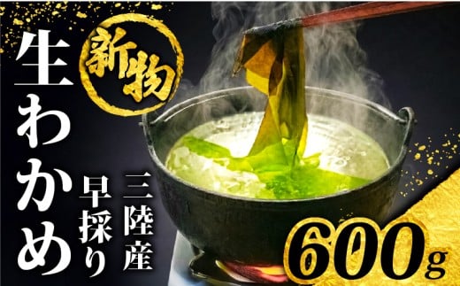 【採れてすぐ発送】 早採り生わかめ 新物 600g(200g×3袋) 期間限定 ★2月上旬まで★ わかめ 早採りわかめ 生わかめ 三陸 漁師わかめ 小分け 若芽 湯通し 海藻 海産物 味噌汁 ごはん 夕飯 おかず 小分け 個包装 しゃぶしゃぶ サラダ お刺身 刺し身 刺身 綾里 岩手県 国産 大船渡