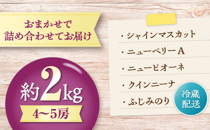 【先行予約】【8月中旬から順次発送】 ぶどう 4から5房 約2kg 詰め合わせ セット 愛媛県大洲市/有限会社西山青果　フルーツ 果物 ぶどう ピオーネ [AGAR023]