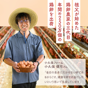 【定期便（３カ月）】小久保ファーム　濃厚卵黄　産みたてたまご　赤玉30個入り（M玉） ※着日指定不可 _EI04