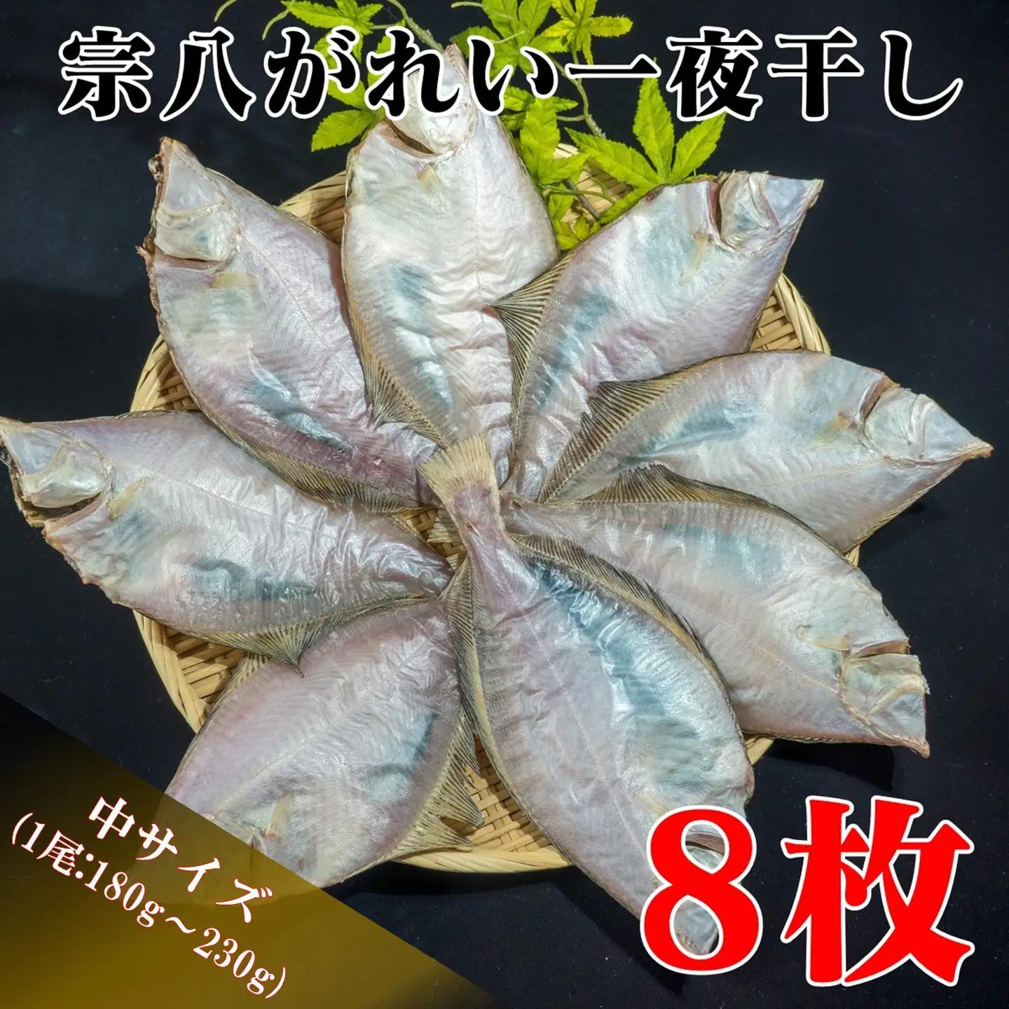 【FN】北海道産 宗八がれい(中)一夜干し８枚