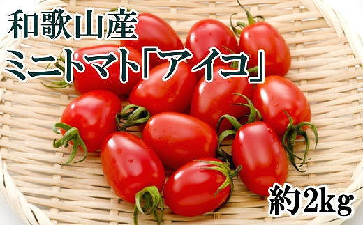 
【2025年4月出荷分】和歌山産ミニトマト「アイコトマト」約2kg（S・Mサイズおまかせ）【TM140】
