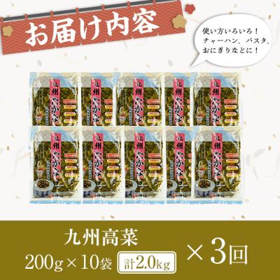 ふるさと納税 曽於市 【3回定期】九州高菜(200g×10袋×3回) |  | 02
