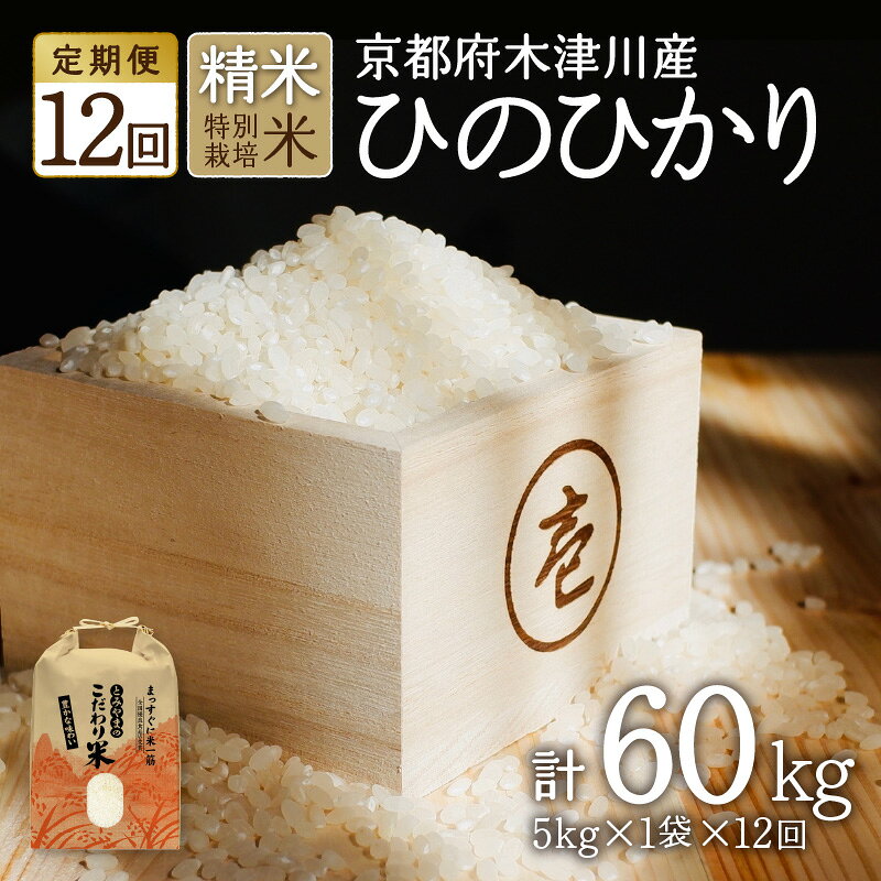 【ふるさと納税】【定期便12か月】ひのひかり お米 60kg（5kg×12回）令和6年産 新米 京都府木津川市産 特別栽培米 精米 ヒノヒカリ 米 こめ コメ ご飯 ごはん 2024年 安心 安全 京都米 国産 送料無料