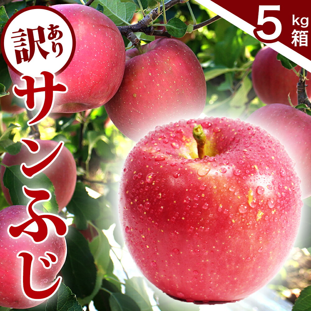【ふるさと納税】りんご 訳あり 5kg 岩手 紫波町産 サンふじ 規格外 傷 訳アリ ふじ 2026年 11月 12月 フルーツ 果物 林檎 岩手 紫波 【予約受付中 11月下旬から発送予定】