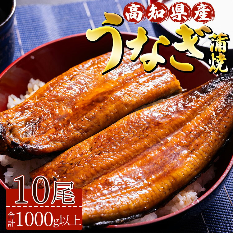 【ふるさと納税】高知県産養殖うなぎ蒲焼 10尾(合計1000g以上) - 鰻 ウナギ 国産 蒲焼き かば焼き かばやき うな丼 うな重 ギフト お礼 御礼 感謝 贈答 贈り物 土用の丑の日 高知県 香南市【冷凍】ss-0041