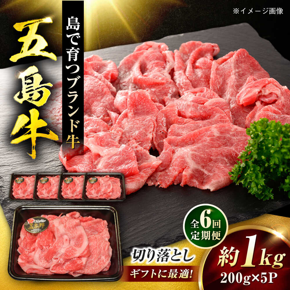 【ふるさと納税】【6回定期便】五島牛 切り落とし 1kg（200g×5P）五島市/meat shop FUKU[PHF019]