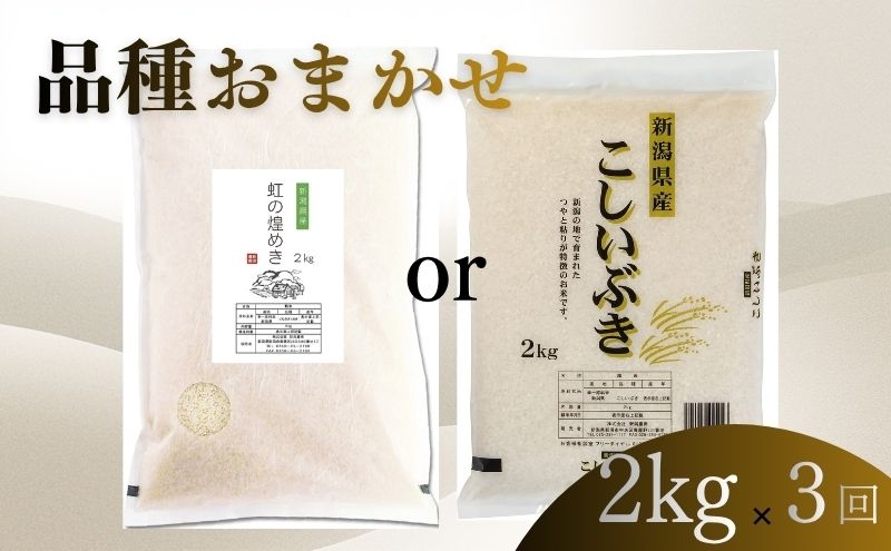 
                  【8月上旬より配送】 新潟県産 品種おまかせ 2kg  3か月定期便 新潟県 新潟市産 令和7年産 お米 精米 米 ご飯 送料無料
                
