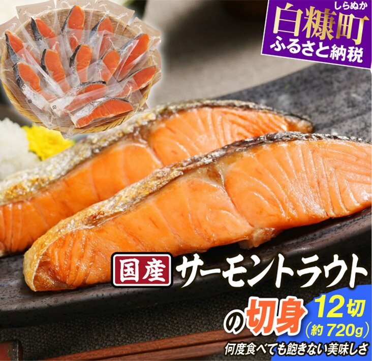 【ふるさと納税】魚 サーモントラウトの切身 鮭 さけ サーモン 北海道 12切れ入り (約720g) 応援 グルメ 食べ物 サケ 切り身 焼鮭 焼き魚 人気 ふるさと ふるさと納税 魚 海鮮 海鮮食品 魚介類 魚介 北海道 白糠町
