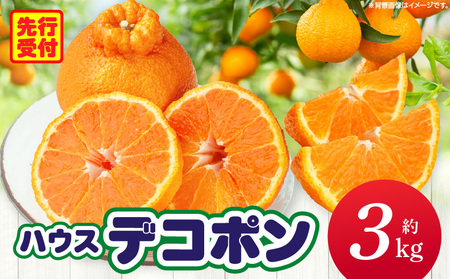 ハウスデコポン約3kg（8-16玉）【香川県共通返礼品】 | デコポン 甘い 酸味 柑橘 柑橘系 果物 フルーツ 青果 デザート グルメ おすすめ 贈答 贈り物 贈答用 ギフト プレゼント 特産品 特産 取り寄せ 香川県 三木町 |_mk006-057