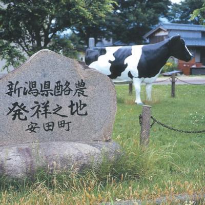 ふるさと納税 阿賀野市 【3ヶ月定期便】ヤスダヨーグルト 500ml×6本 バラエティセット |  | 03