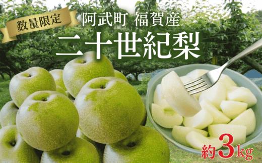 
                  【先行予約】福賀の二十世紀梨 約3kg（7玉） 阿武町産 高糖度＆安心栽培 昼夜の寒暖差が生むシャキシャキ食感 数量限定 なし 梨 ナシ フルーツ 果物 旬 《お届け：2026年8月下旬～9月中旬頃出荷》 山口県 阿武町産 デザート
                
