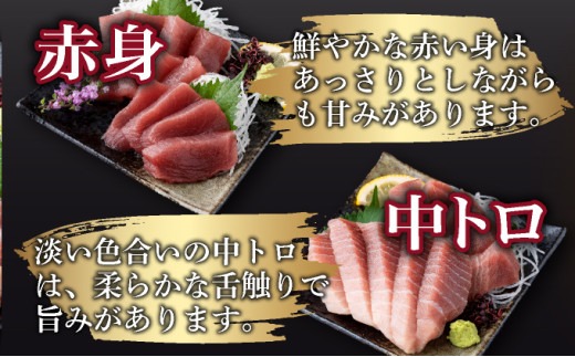 【 天然まぐろ 】 中トロ 赤身 柵 計680g以上 サク さく 天然 めばち マグロ 鮪 まぐろ 100% 冷凍 刺身 海鮮 丼 刺し身 小分け 高知 室戸